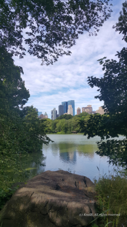 Vue sur les immeubles de Columbus Circle depuis Central Park