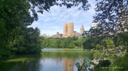 Vue sur l'immeuble Majestic depuis Central Park